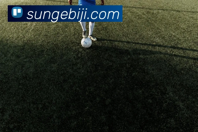 世界杯开户平台平台生态图